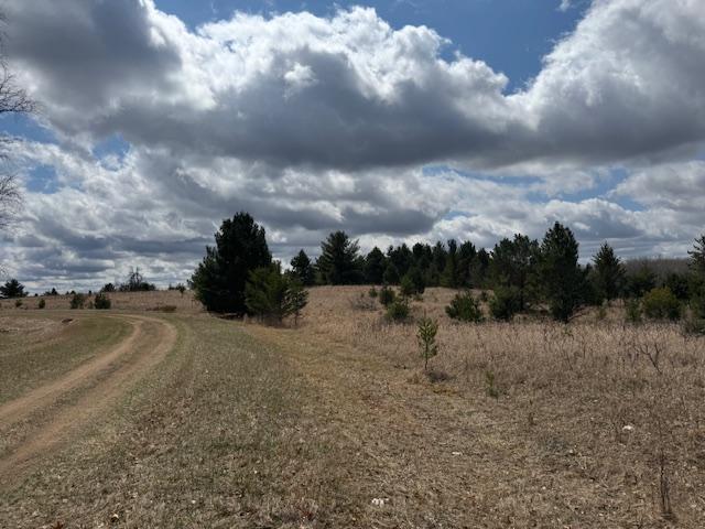 TBD Pacer Loop, Browerville, Minnesota image 13