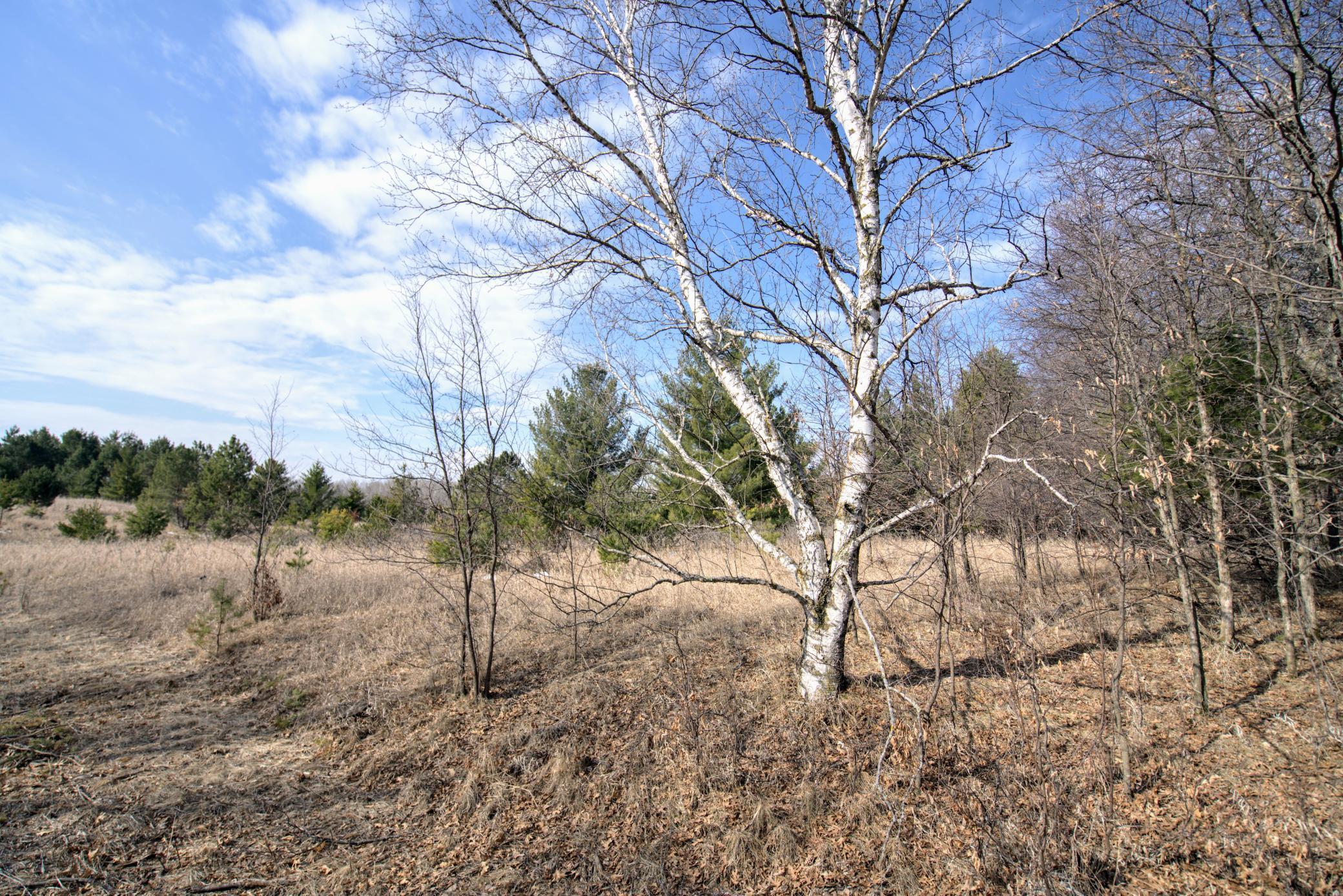 TBD Pacer Loop, Browerville, Minnesota image 4