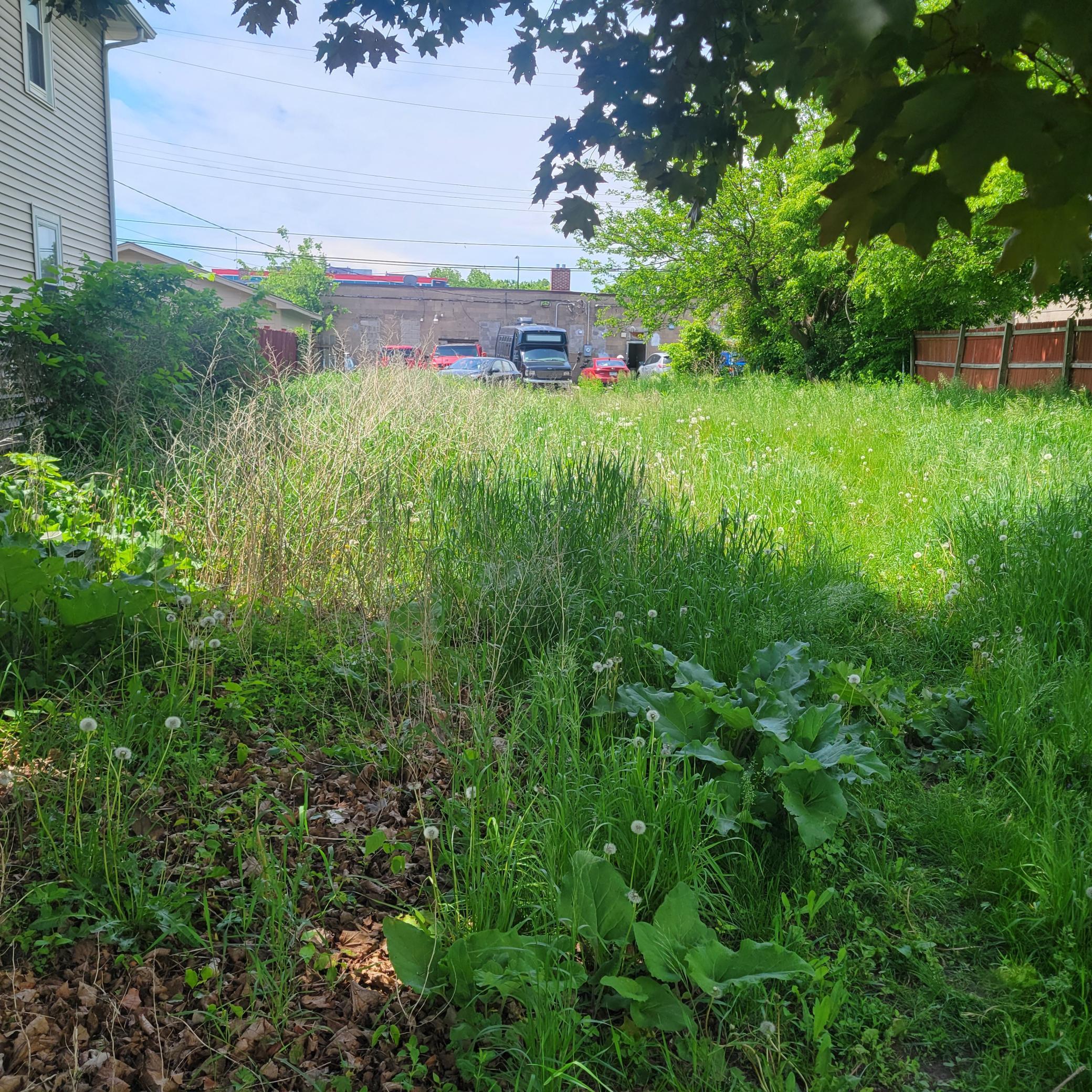 2029 Willow Avenue, Minneapolis, Minnesota image 1