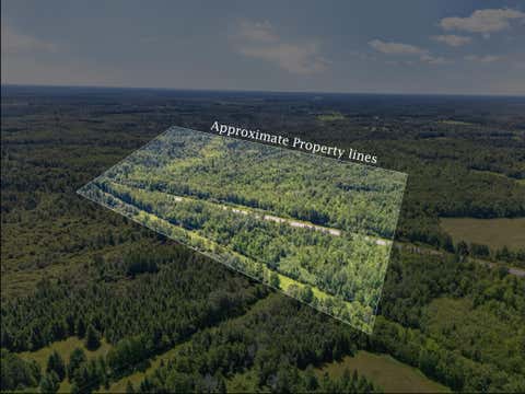 Vacant Land For Sale - TBD Hwy 73<br/> Floodwood, MN 55736