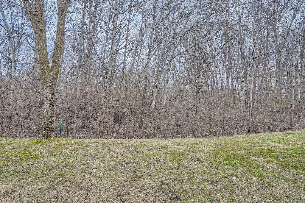 8509 124th Lane, Champlin, Minnesota image 31