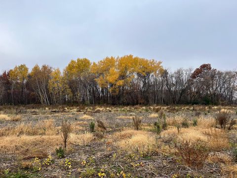 Vacant Land For Sale - TBD (LOT 1) Brunswick Road<br/> Stanchfield, MN 55080