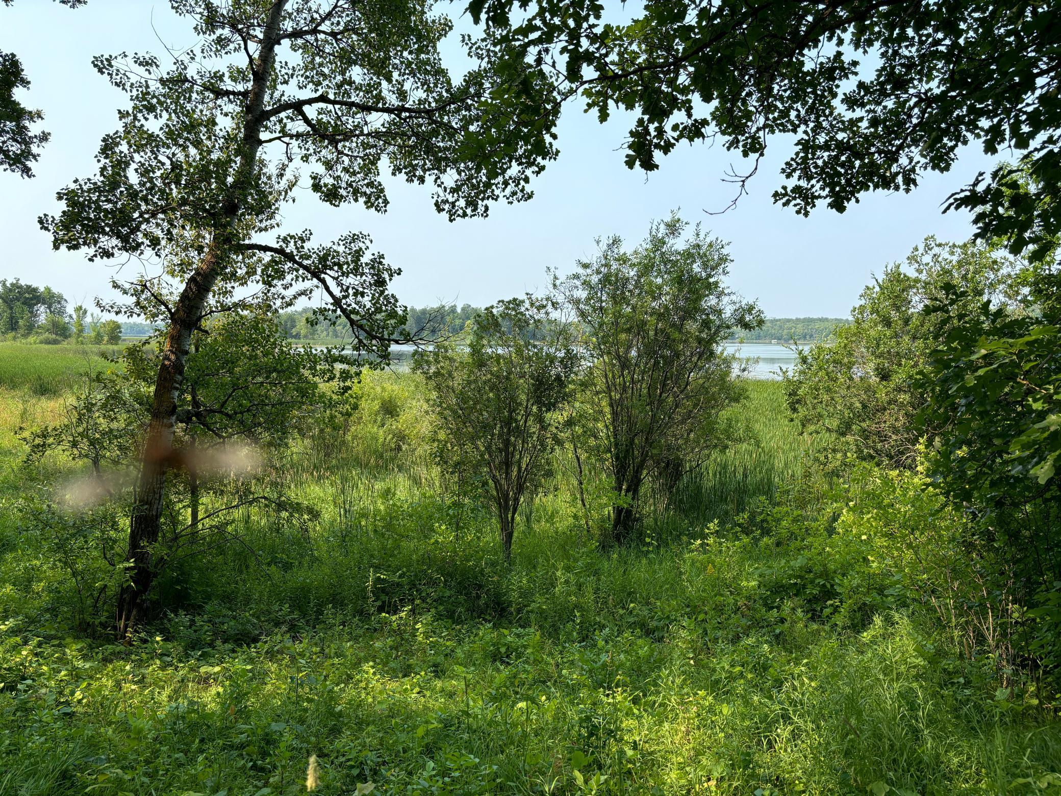 1246 Island Lake Resort Drive, Lengby, Minnesota image 7