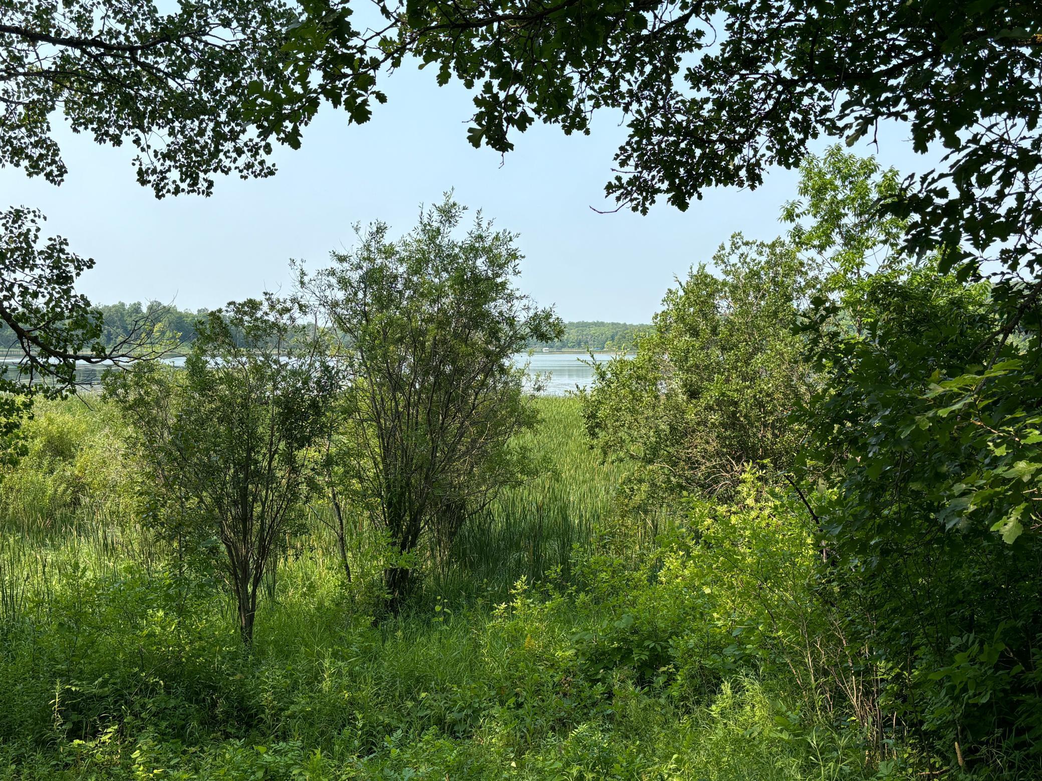 1246 Island Lake Resort Drive, Lengby, Minnesota image 3