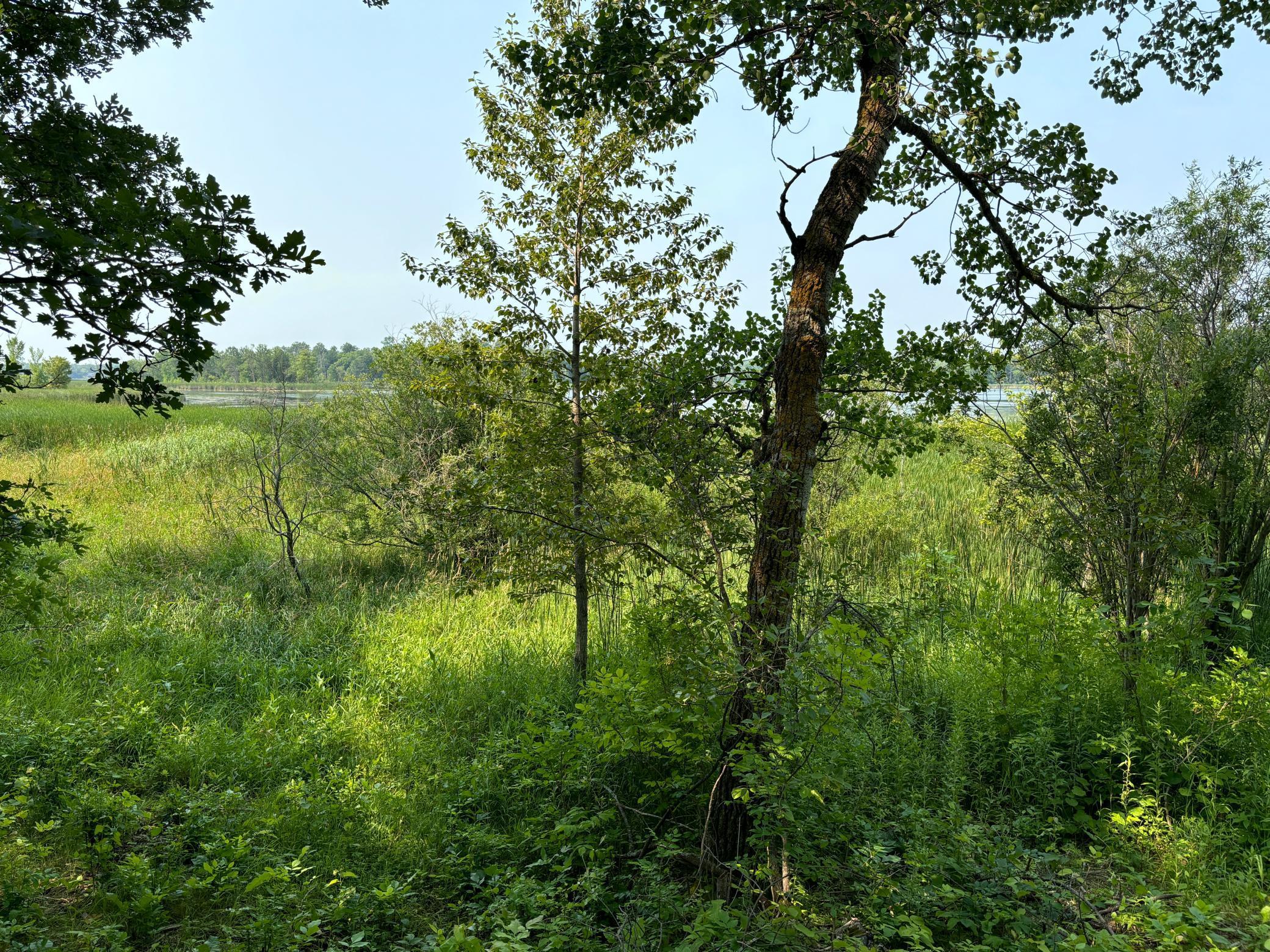 1246 Island Lake Resort Drive, Lengby, Minnesota image 11