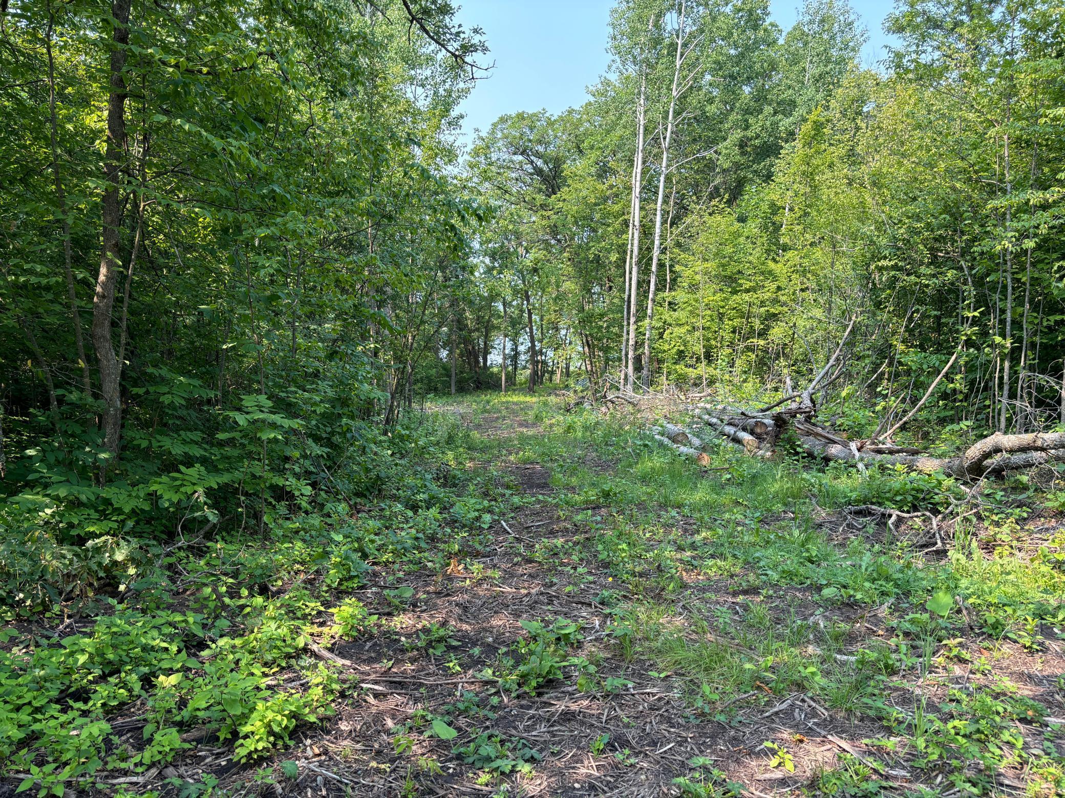 1246 Island Lake Resort Drive, Lengby, Minnesota image 4