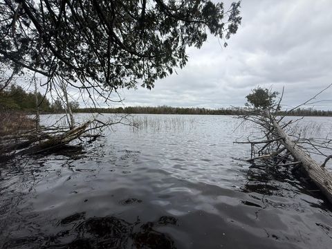 Vacant Land For Sale - 31938 E Gunn Lake Trail<br/> Marcell, MN 56657