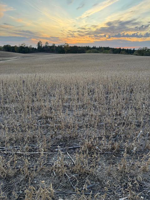 Vacant Land For Sale - TBD Placid Drive<br/> Dent, MN 56528