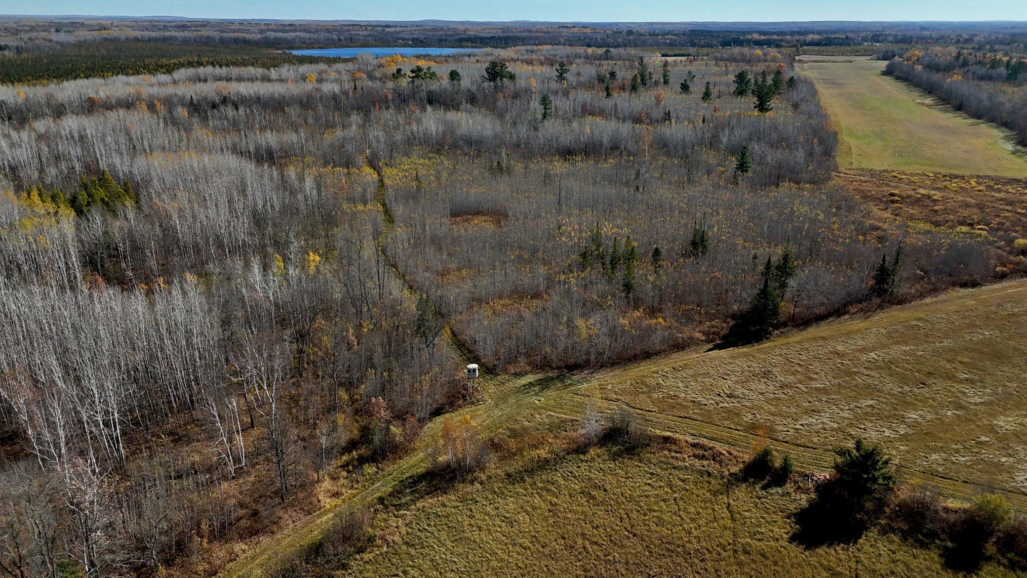 TBD County Road 4, Remer, Minnesota image 6