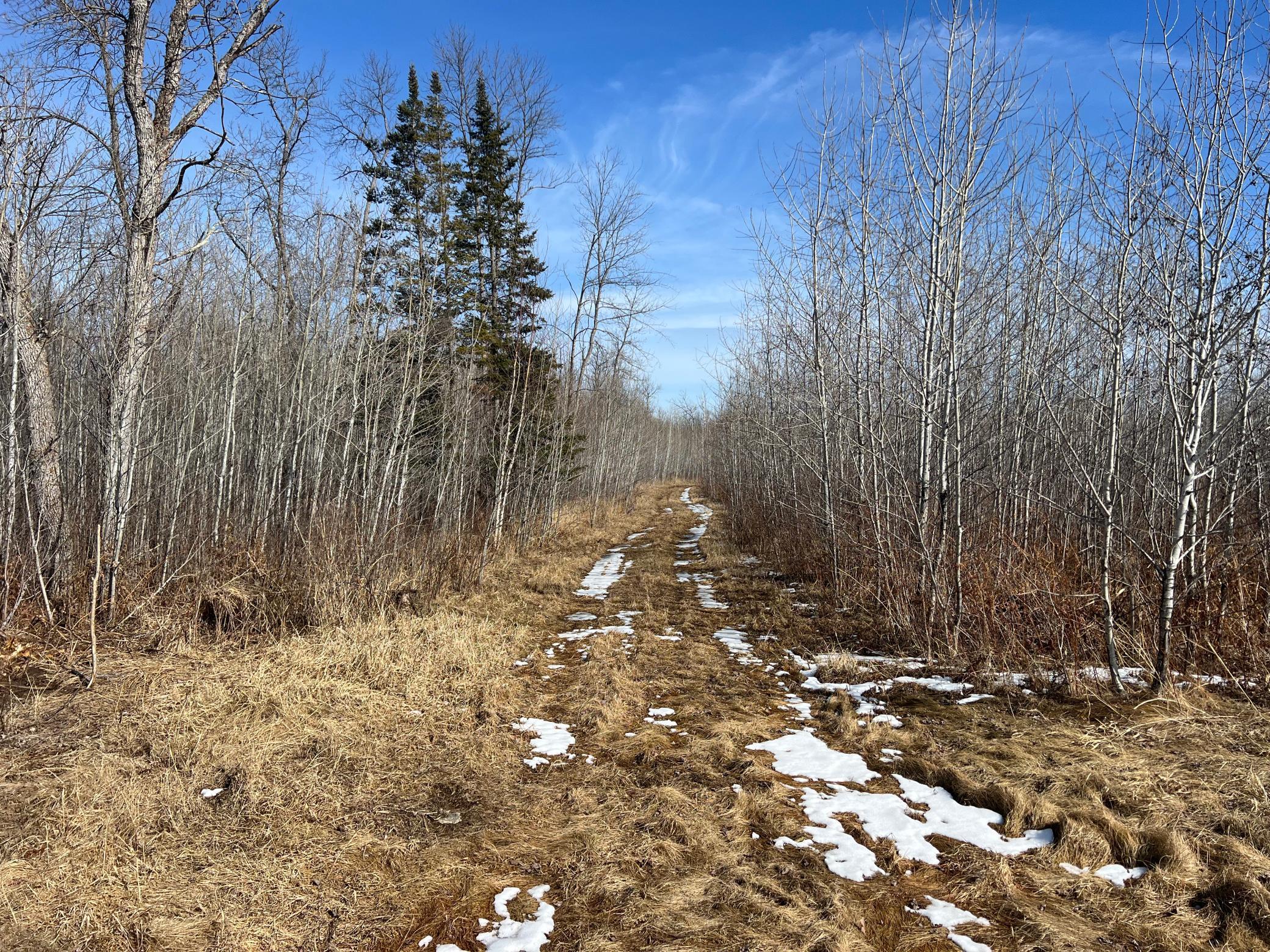 TBD County Road 4, Remer, Minnesota image 14