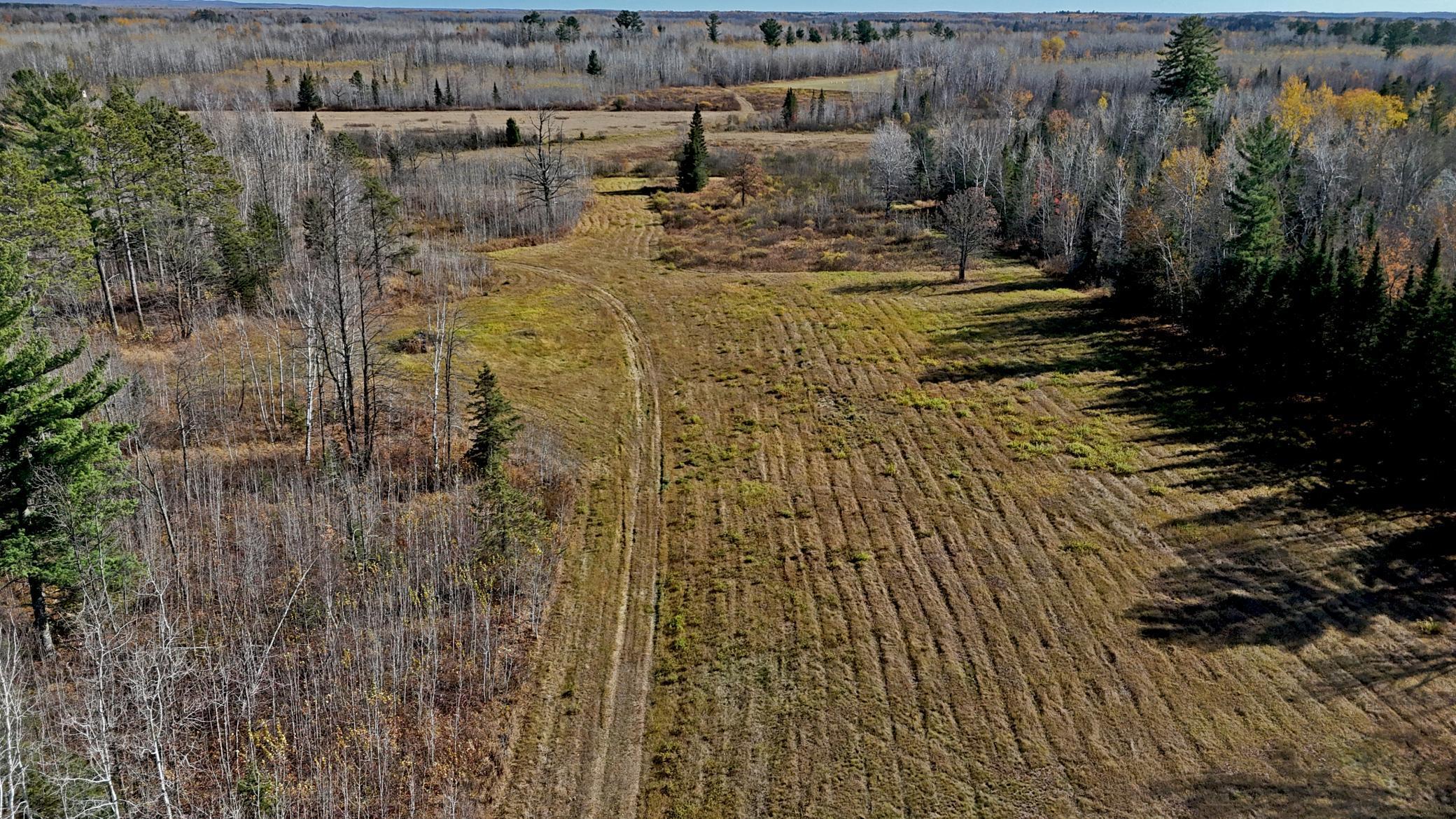 TBD County Road 4, Remer, Minnesota image 5