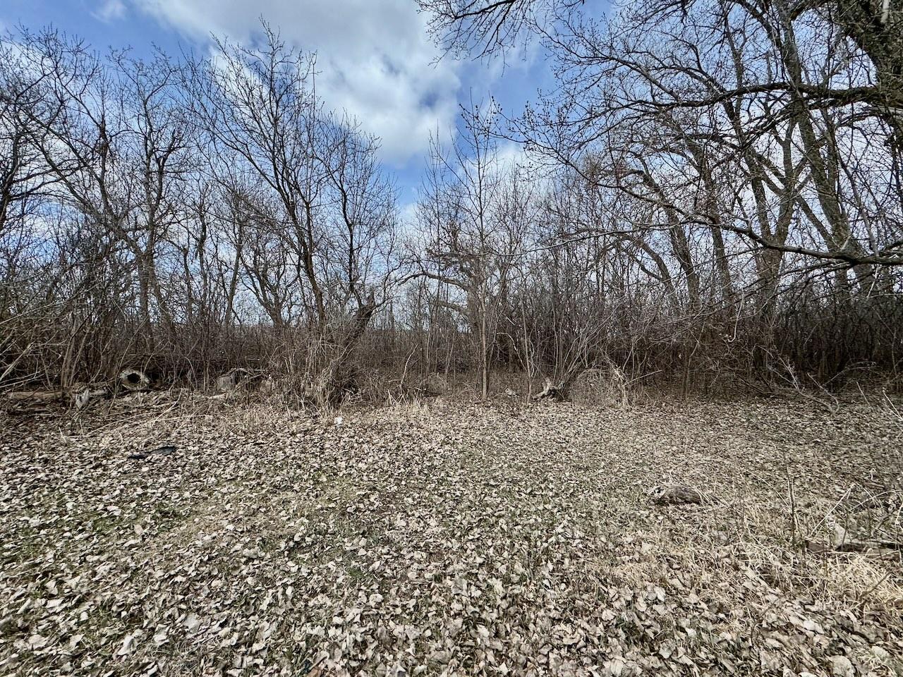 17XXX Griswold Avenue, Norcross, Minnesota image 6