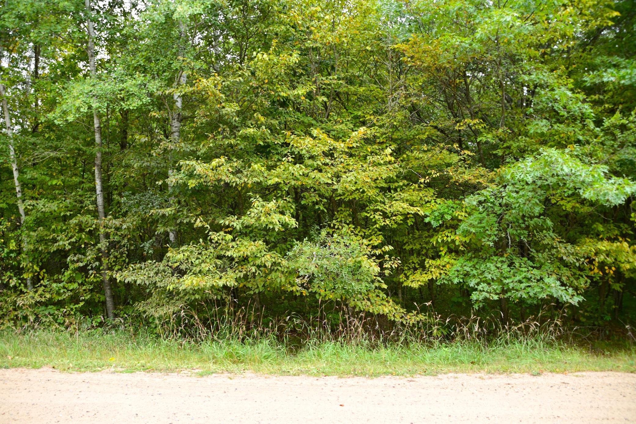 Xx Orchard Drive, Browerville, Minnesota image 2