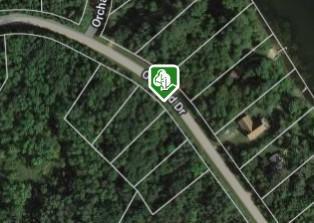 Xx Orchard Drive, Browerville, Minnesota image 6