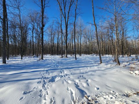 Vacant Land For Sale - XXXX 175th<br/> Ogilvie, MN 56353
