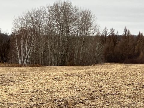 Vacant Land For Sale - 000 Wildwood Rd<br/> Brook Park, MN 55007