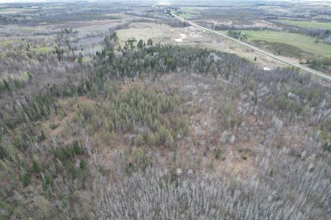 Vacant Land For Sale - 10121 State Hwy 87<br/> Wadena County, Menahga, MN 56464