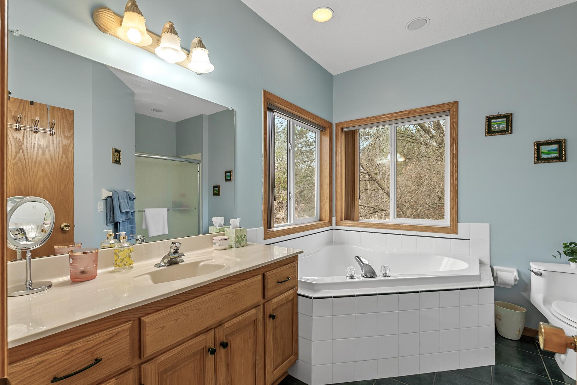 2818 162nd Avenue, Ham Lake, Minnesota image 22