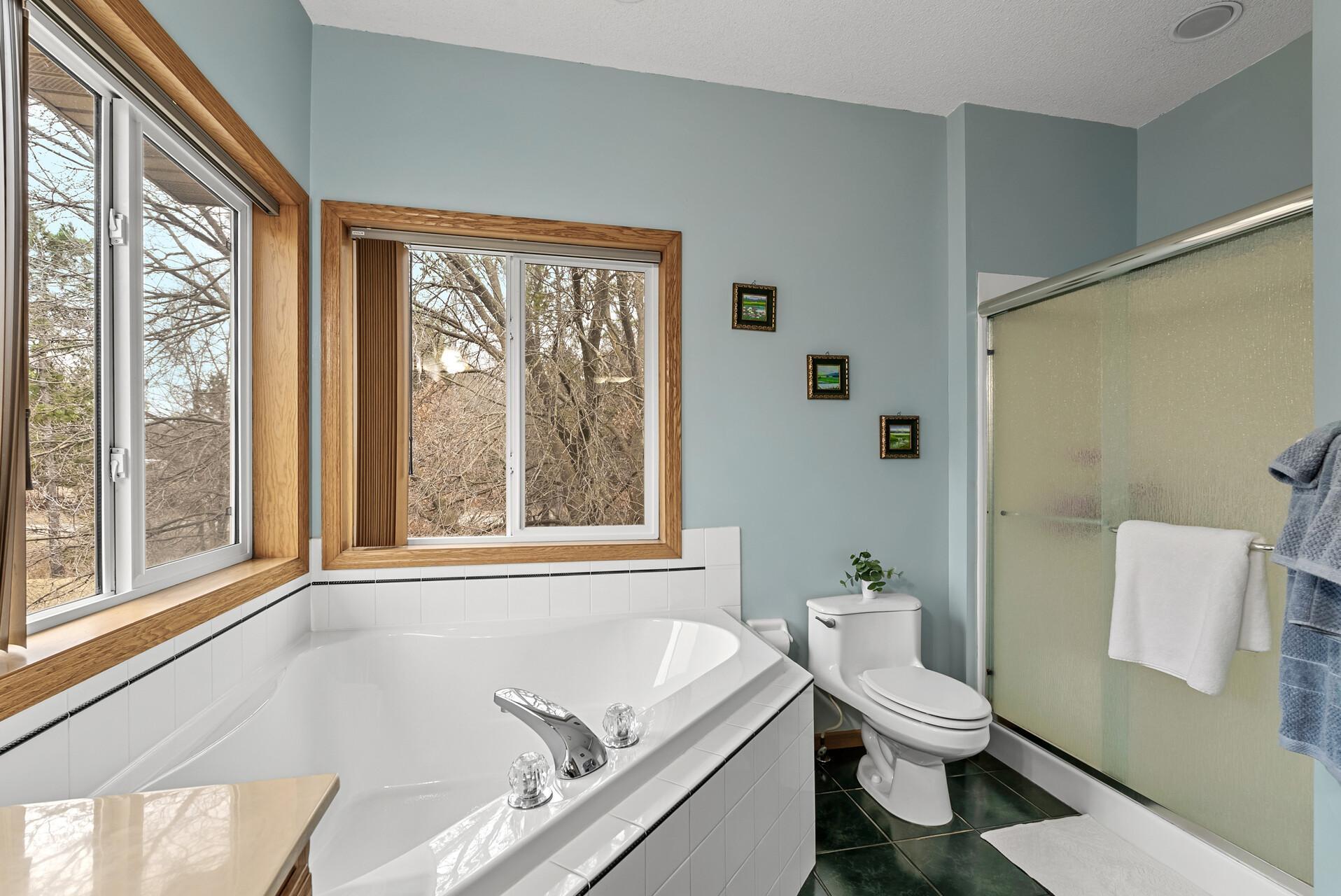 2818 162nd Avenue, Ham Lake, Minnesota image 23