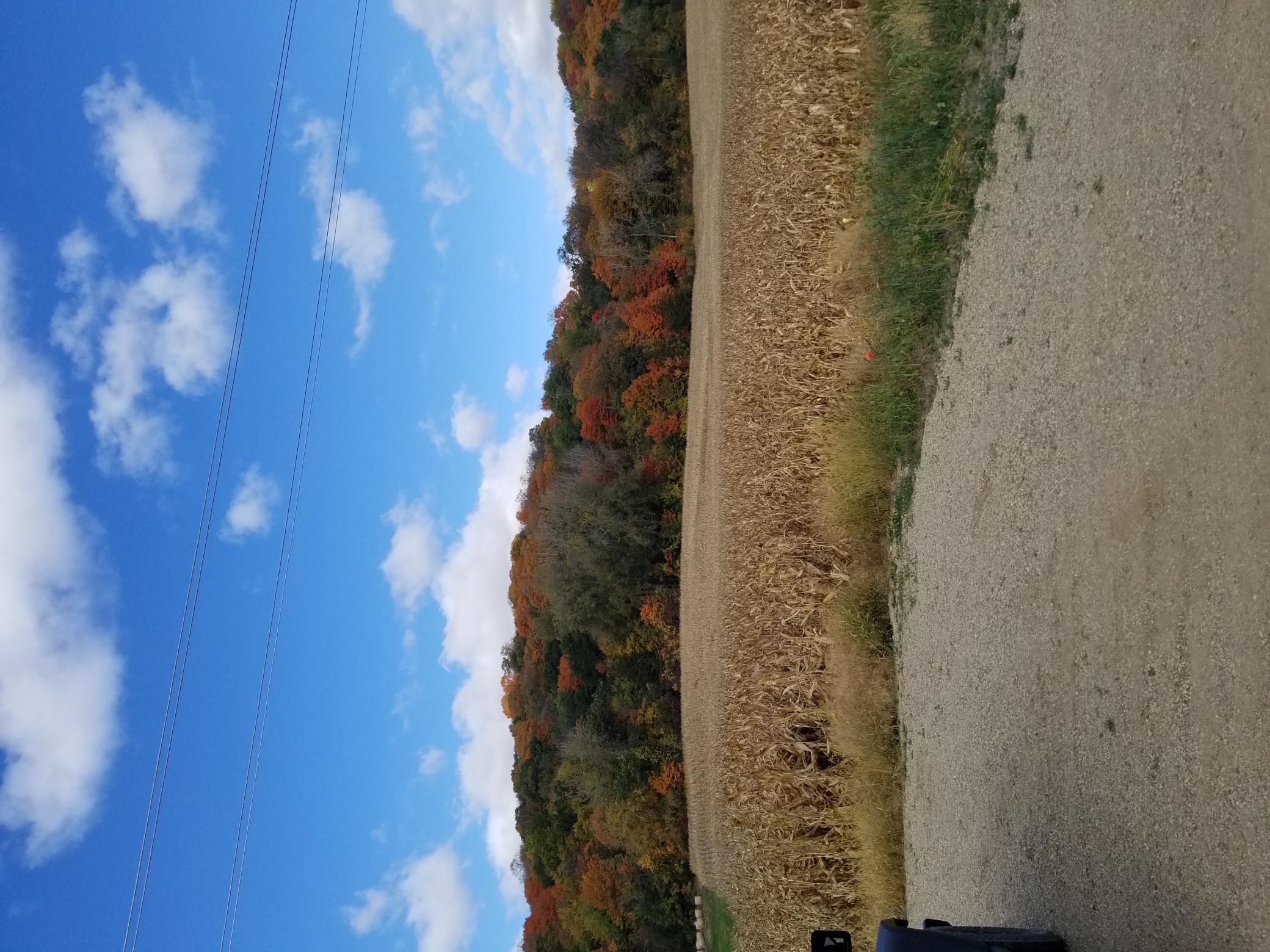 TBD Scenic Byway Road, Henderson, Minnesota image 10