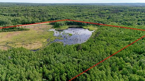 Vacant Land For Sale - TBD State 200 Ave<br/> Bagley, MN 56621