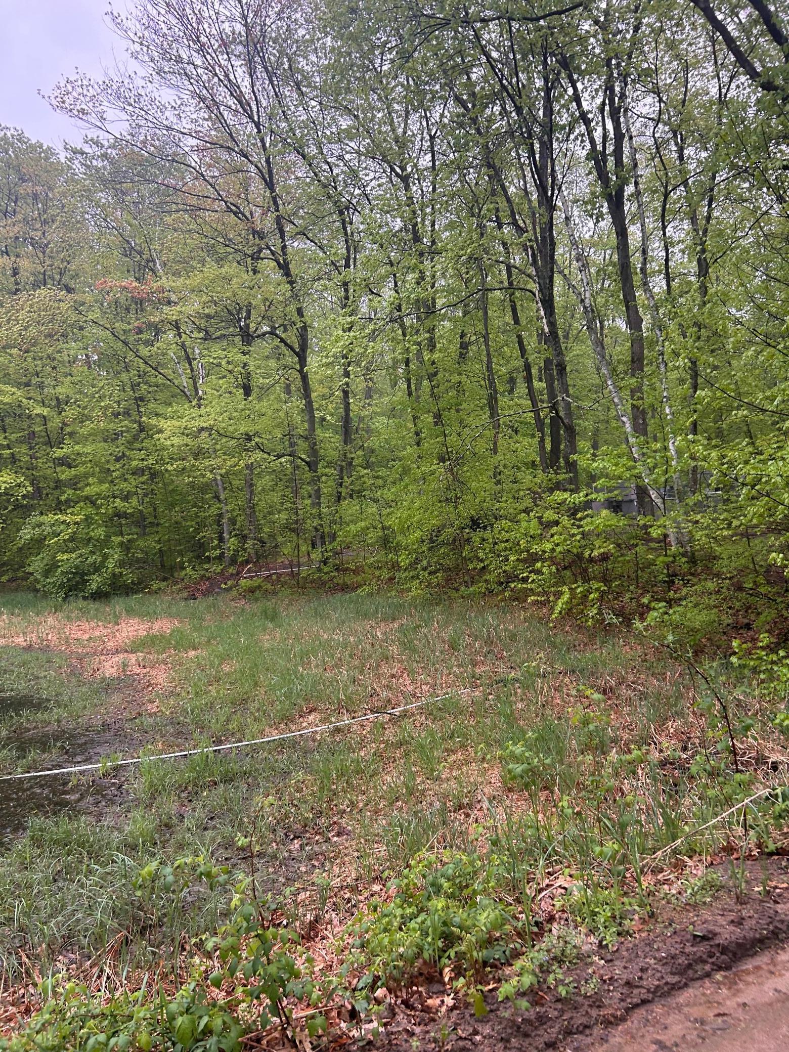 TBD Powder Horn, Cushing, Minnesota image 2