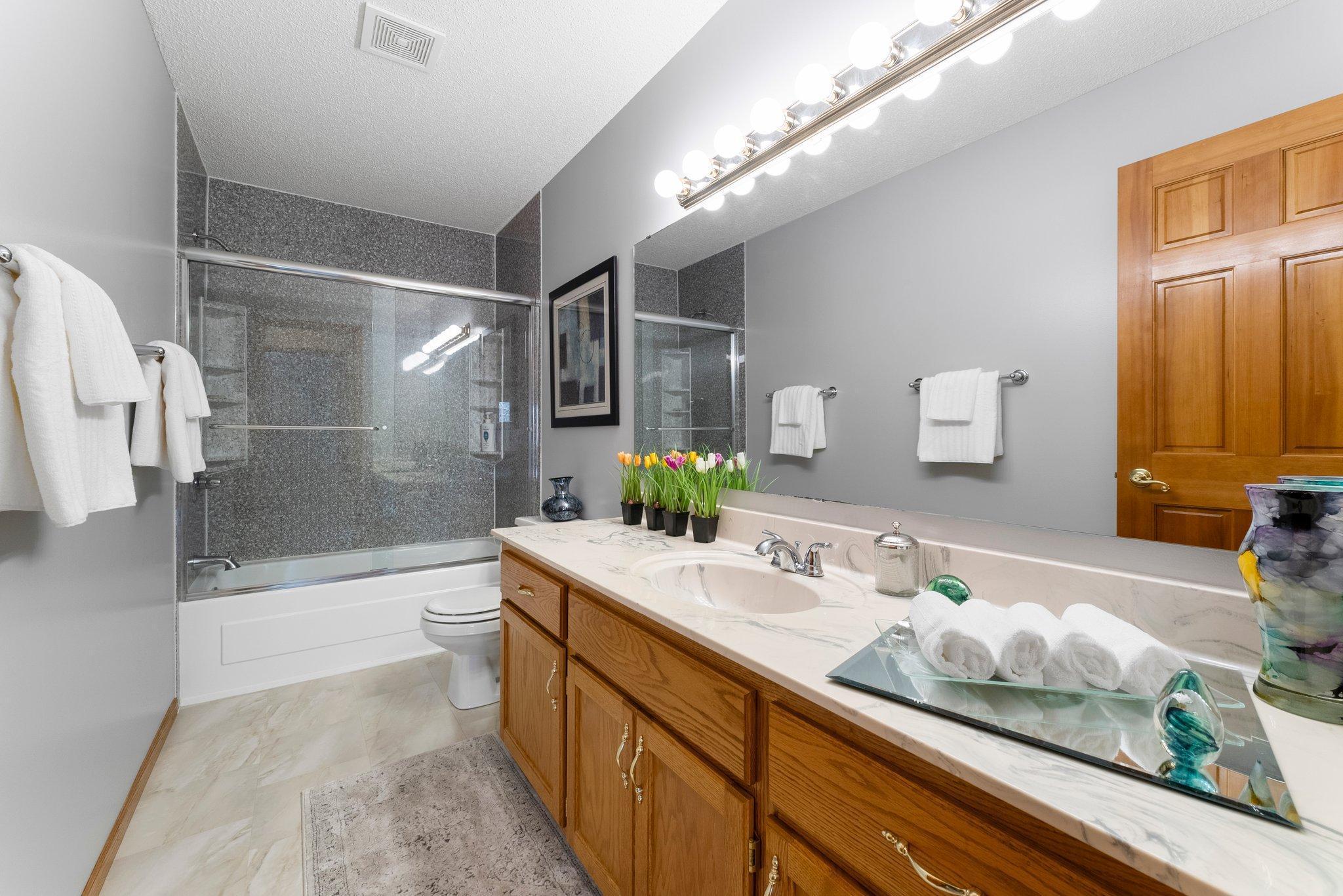 14160 Foxtail Lane, Saint Paul, Minnesota image 21