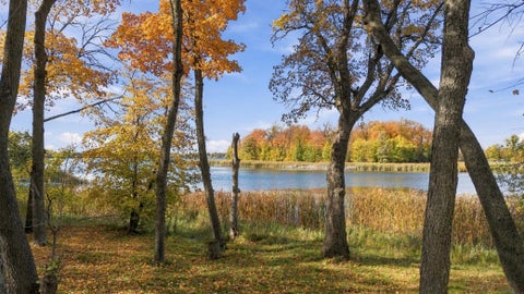 Vacant Land For Sale - 14040 Pearl Lake Drive<br/> Detroit Lakes, MN 56501