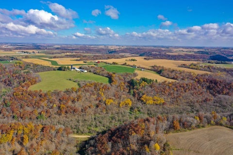 Vacant Land For Sale - 265th Avenue<br/> Pierce County, Plum City, WI 54761