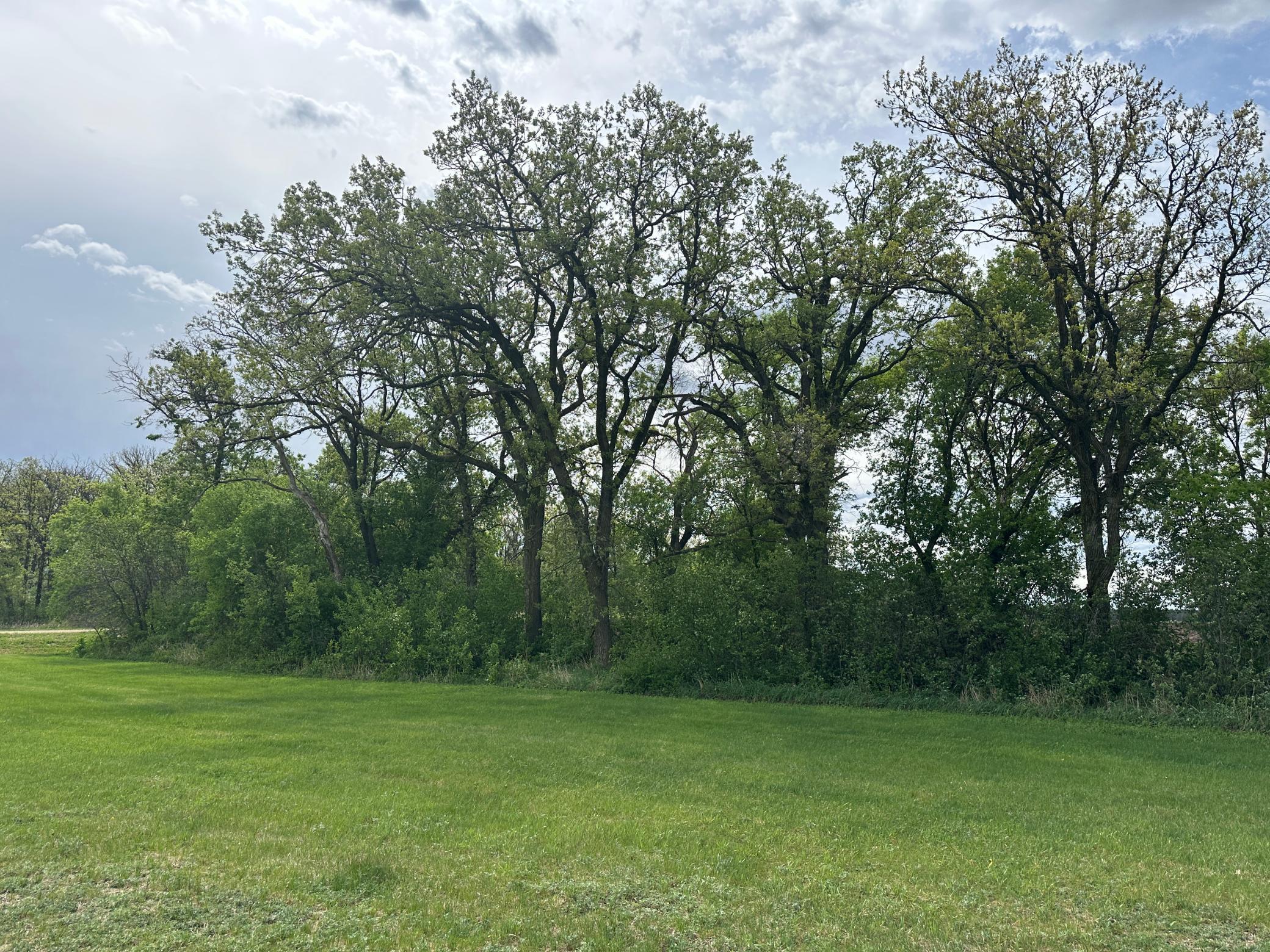18769 620th Avenue, Parkers Prairie, Minnesota image 15