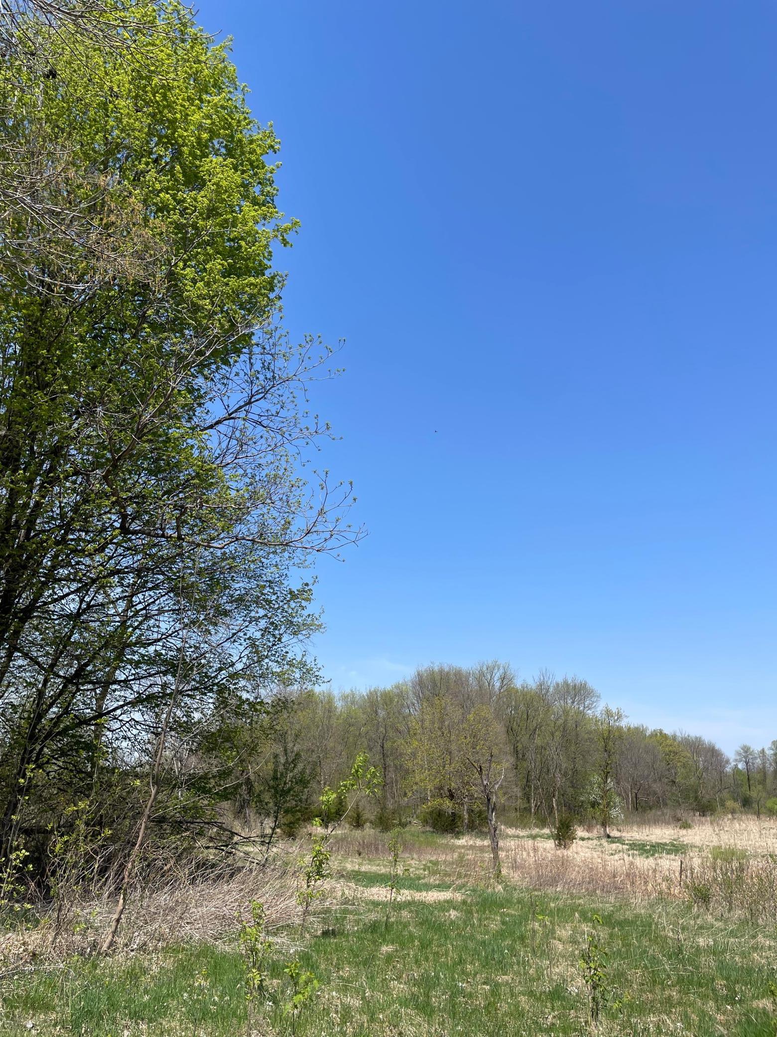 1xx Stark Road, Harris, Minnesota image 15