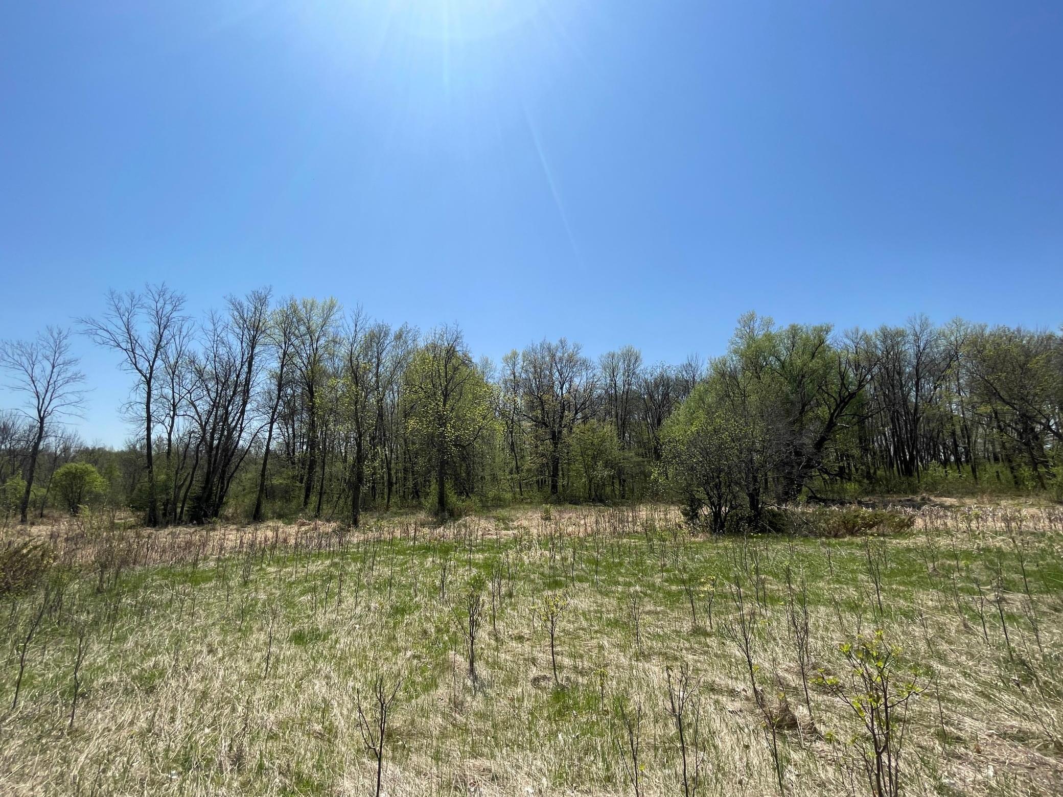 1xx Stark Road, Harris, Minnesota image 12