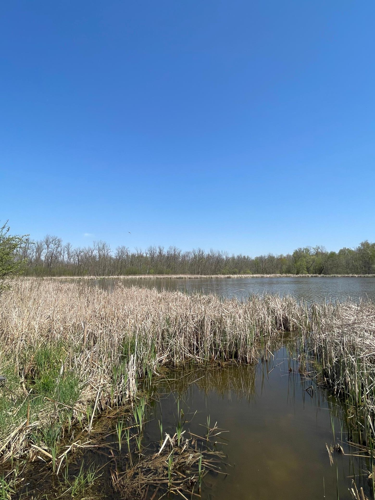 1xx Stark Road, Harris, Minnesota image 2