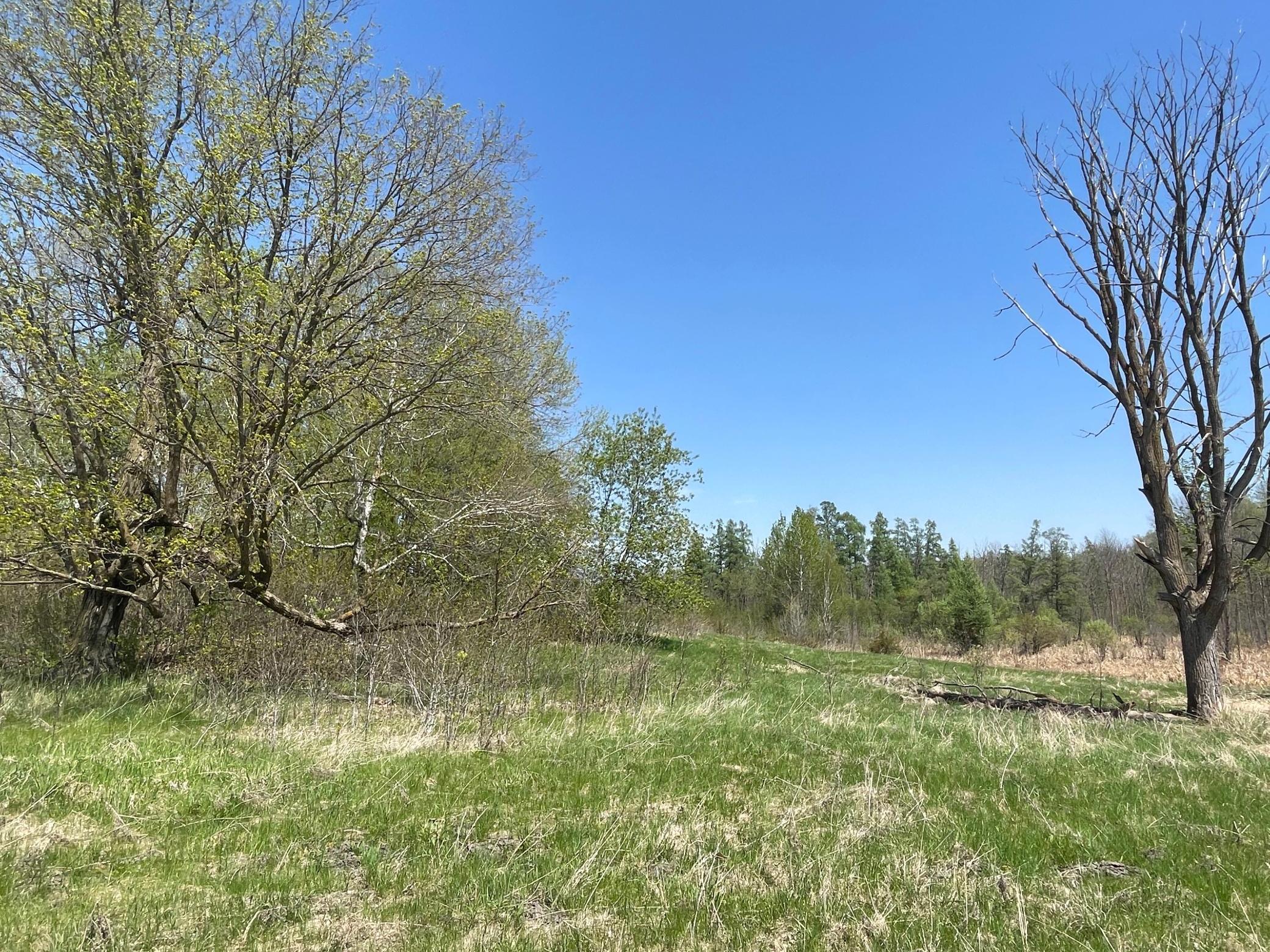 1xx Stark Road, Harris, Minnesota image 17