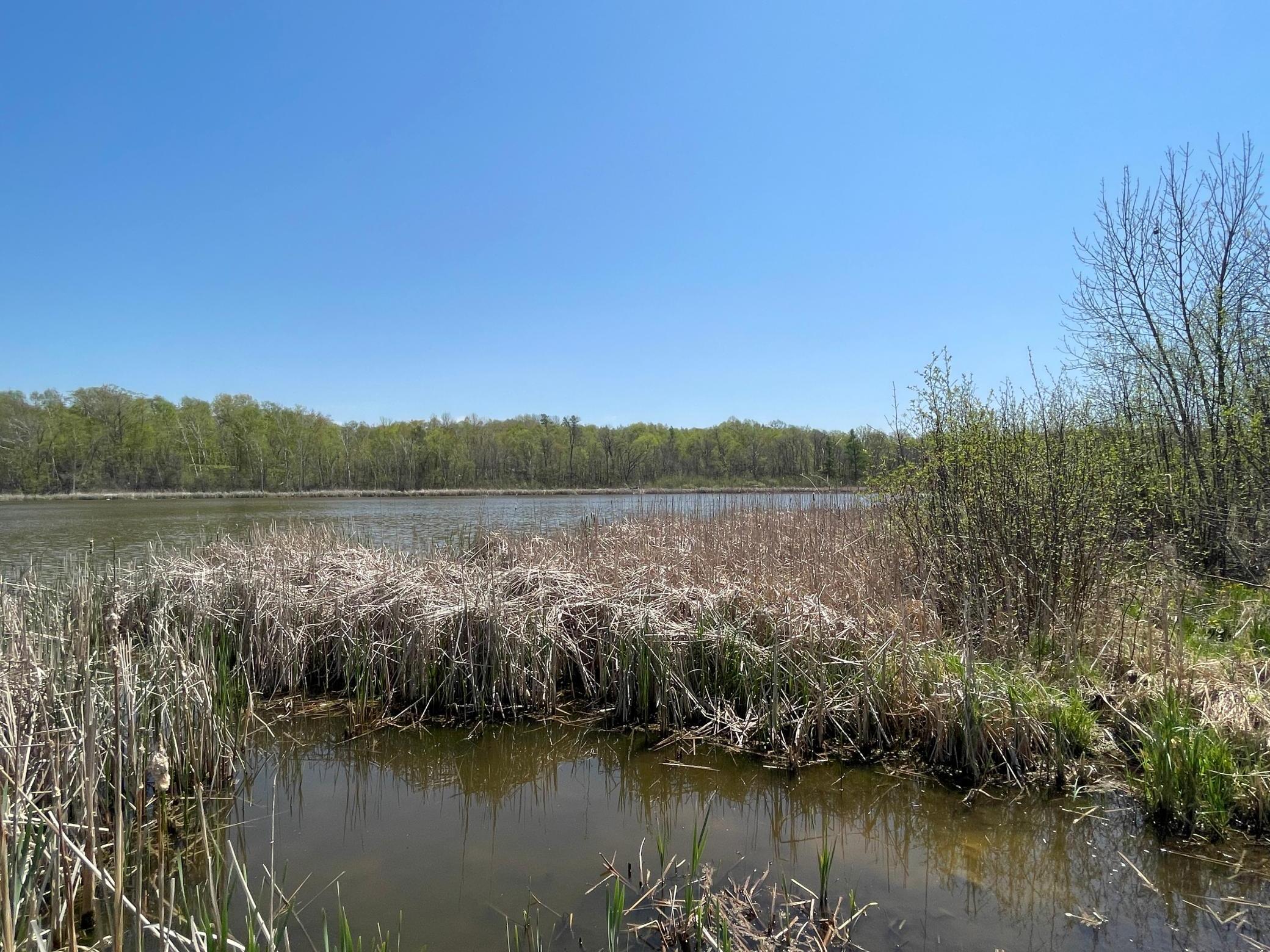 1xx Stark Road, Harris, Minnesota image 9