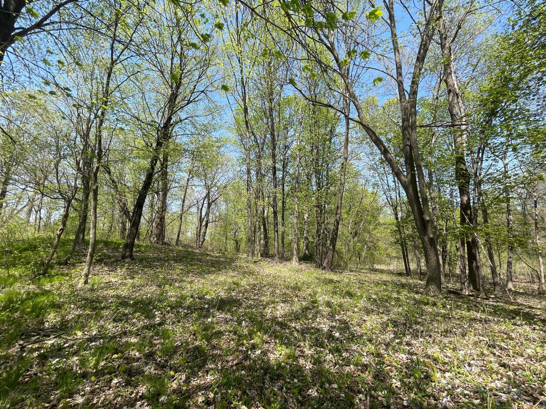 1xx Stark Road, Harris, Minnesota image 21