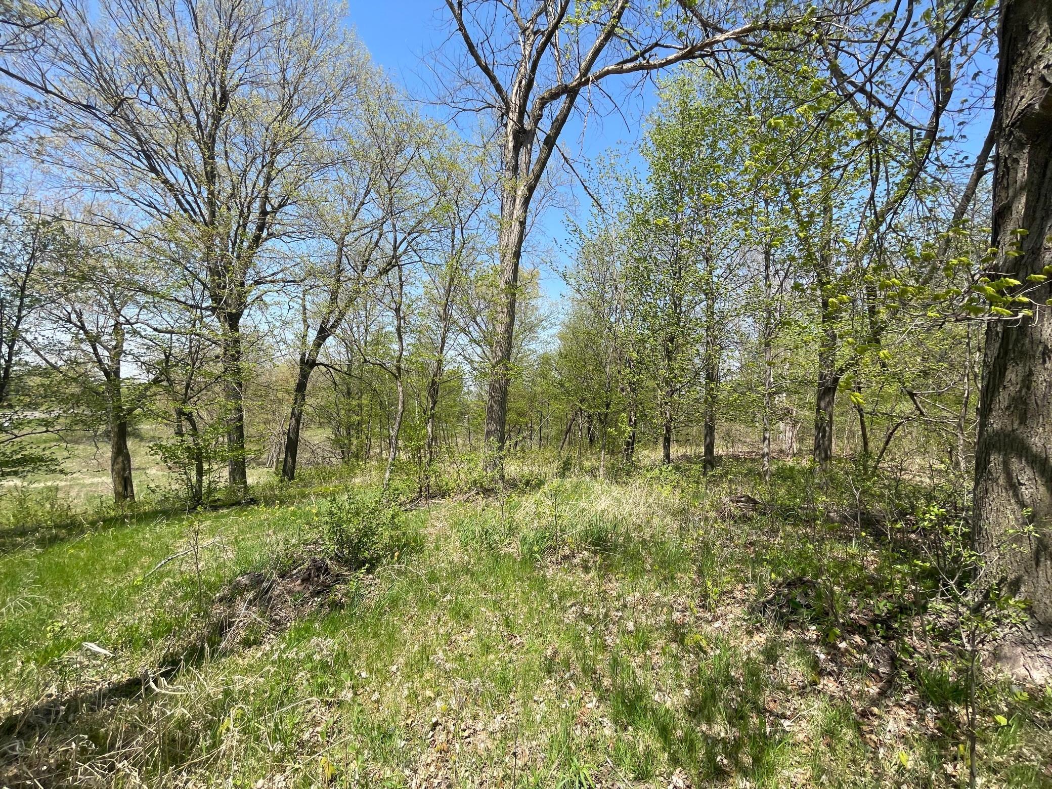 1xx Stark Road, Harris, Minnesota image 19
