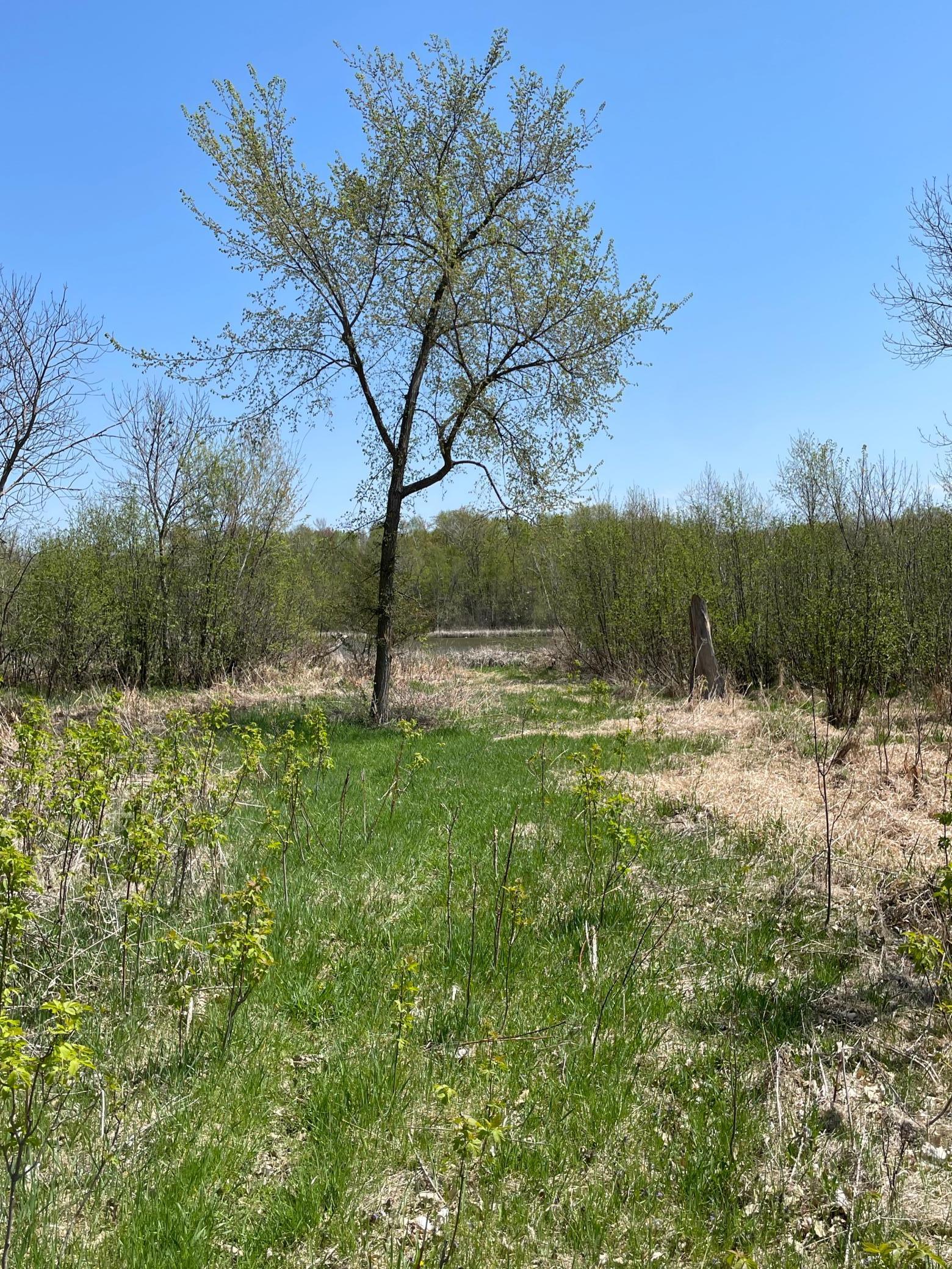 1xx Stark Road, Harris, Minnesota image 10