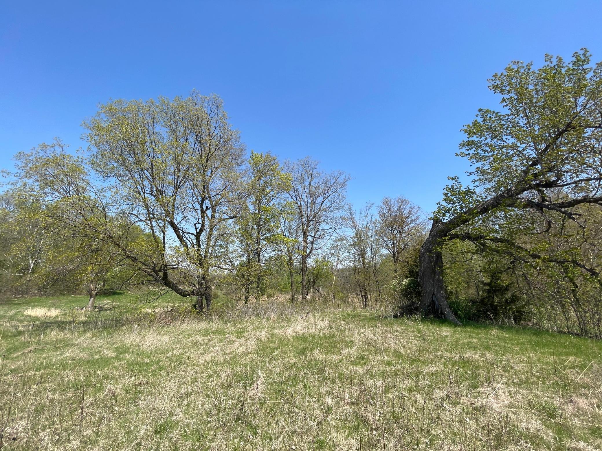 1xx Stark Road, Harris, Minnesota image 18