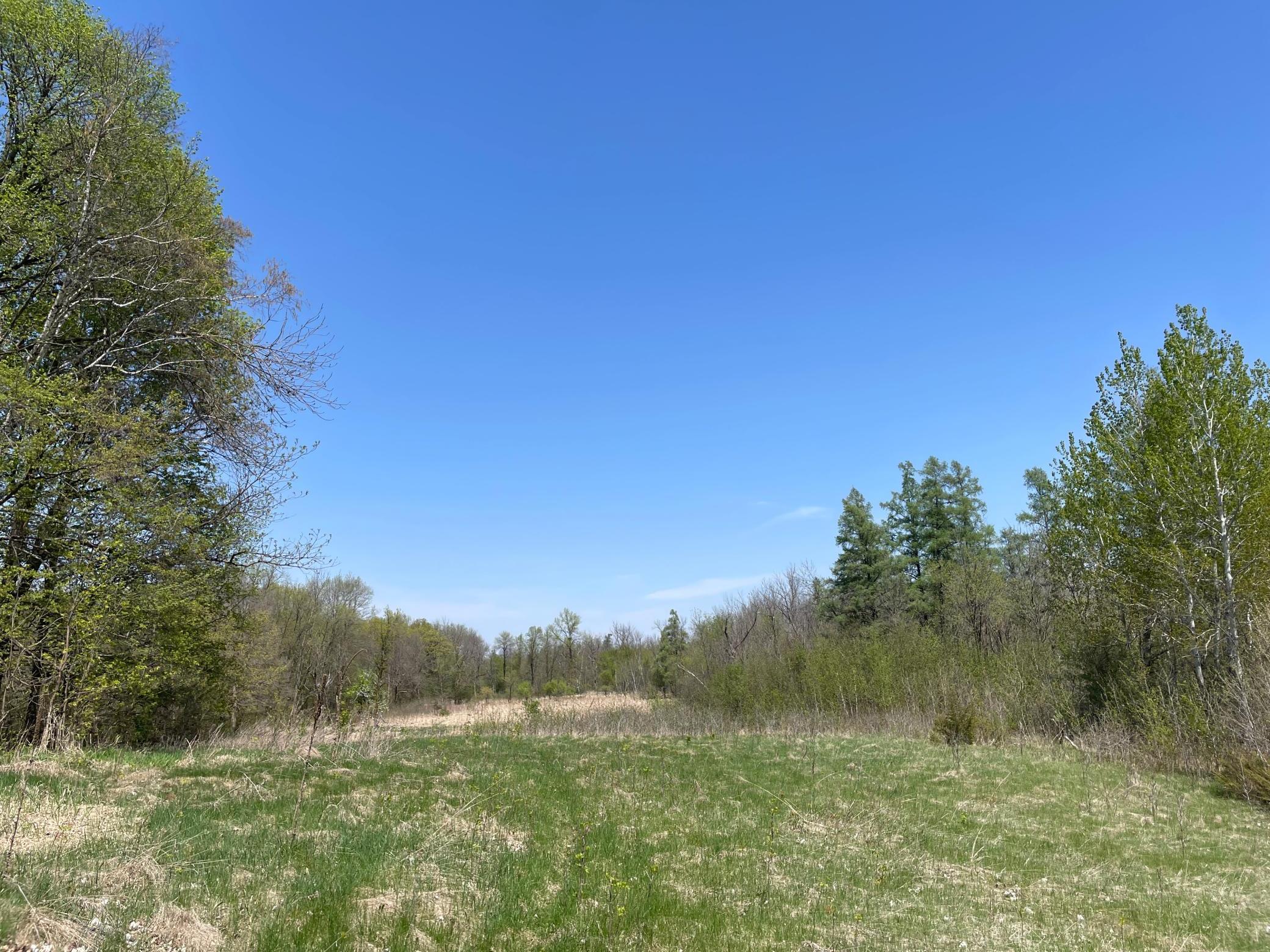 1xx Stark Road, Harris, Minnesota image 13