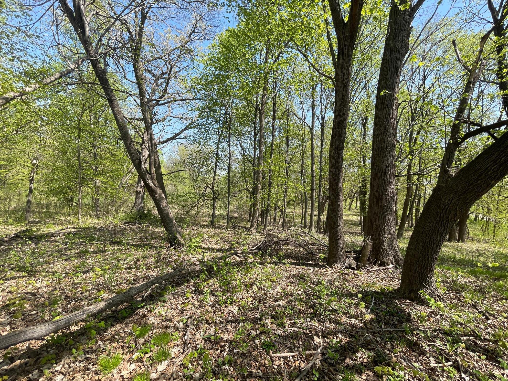 1xx Stark Road, Harris, Minnesota image 3