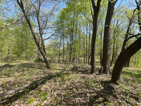 Vacant Land For Sale - 1XX Stark Road<br/> Harris, MN 55032