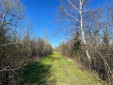 Vacant Land For Sale - 508 Cedar Valley Rd<br/> Saint Louis County, Floodwood, MN 55736