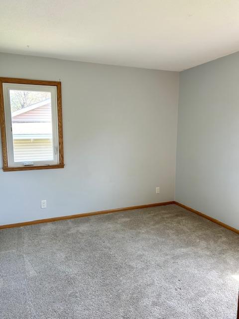 7731 80th Street, Cottage Grove, Minnesota image 12