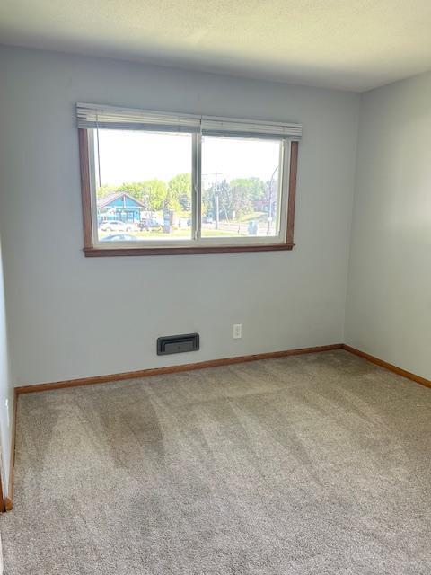 7731 80th Street, Cottage Grove, Minnesota image 10