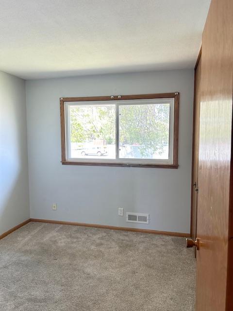 7731 80th Street, Cottage Grove, Minnesota image 11