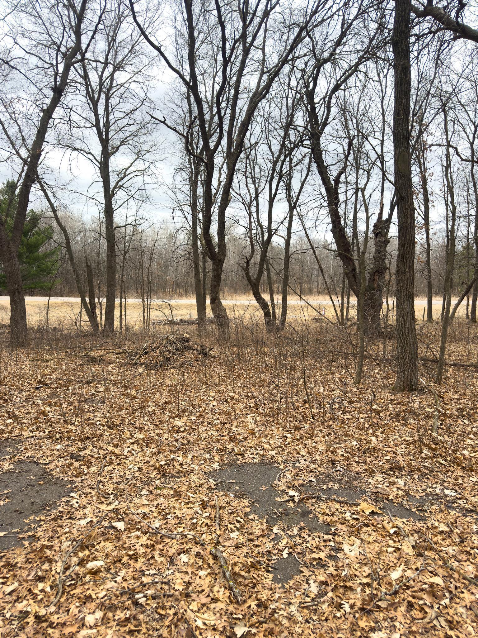 XXX Angelina Drive, Little Falls, Minnesota image 5