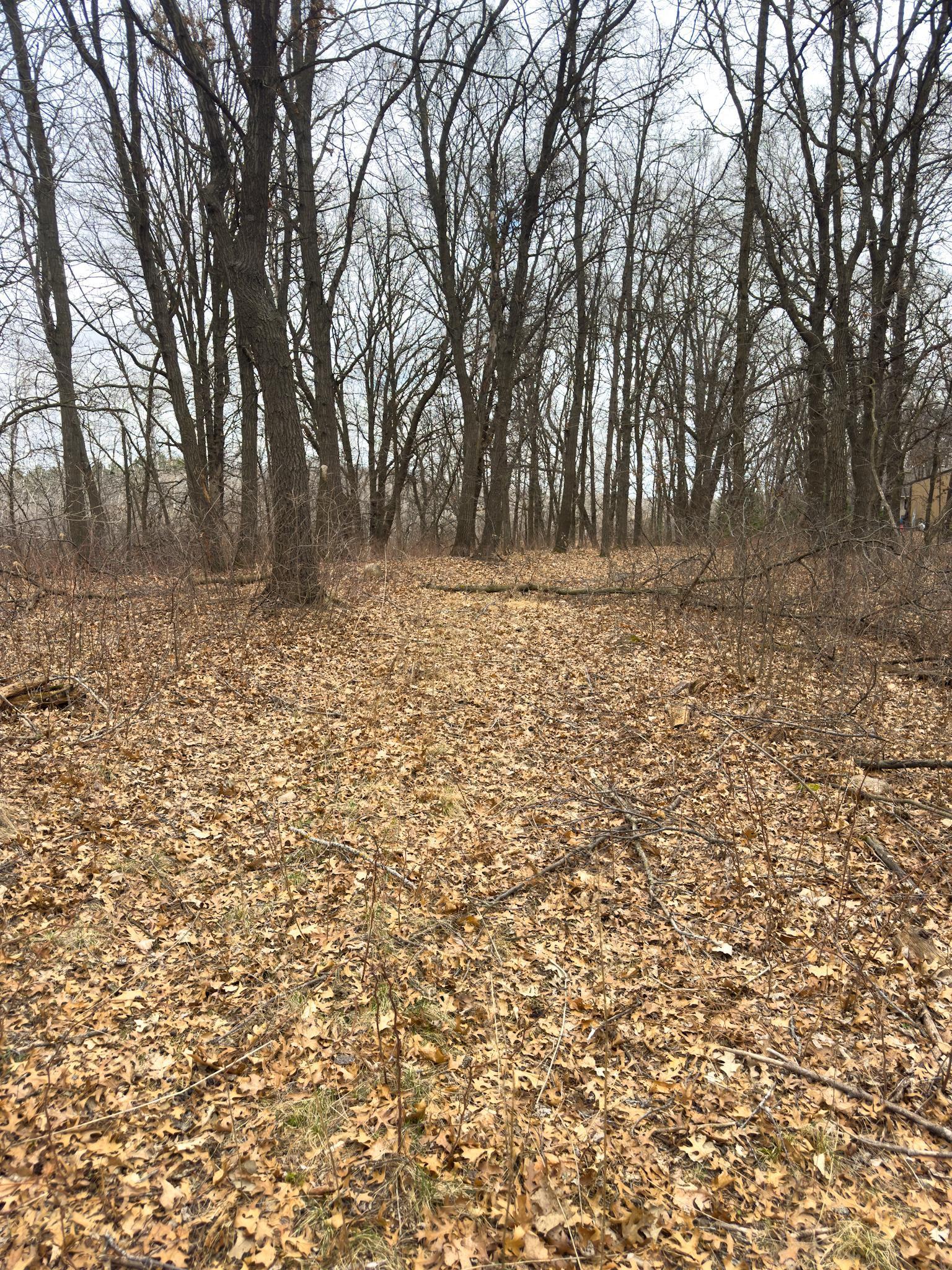 XXX Angelina Drive, Little Falls, Minnesota image 3