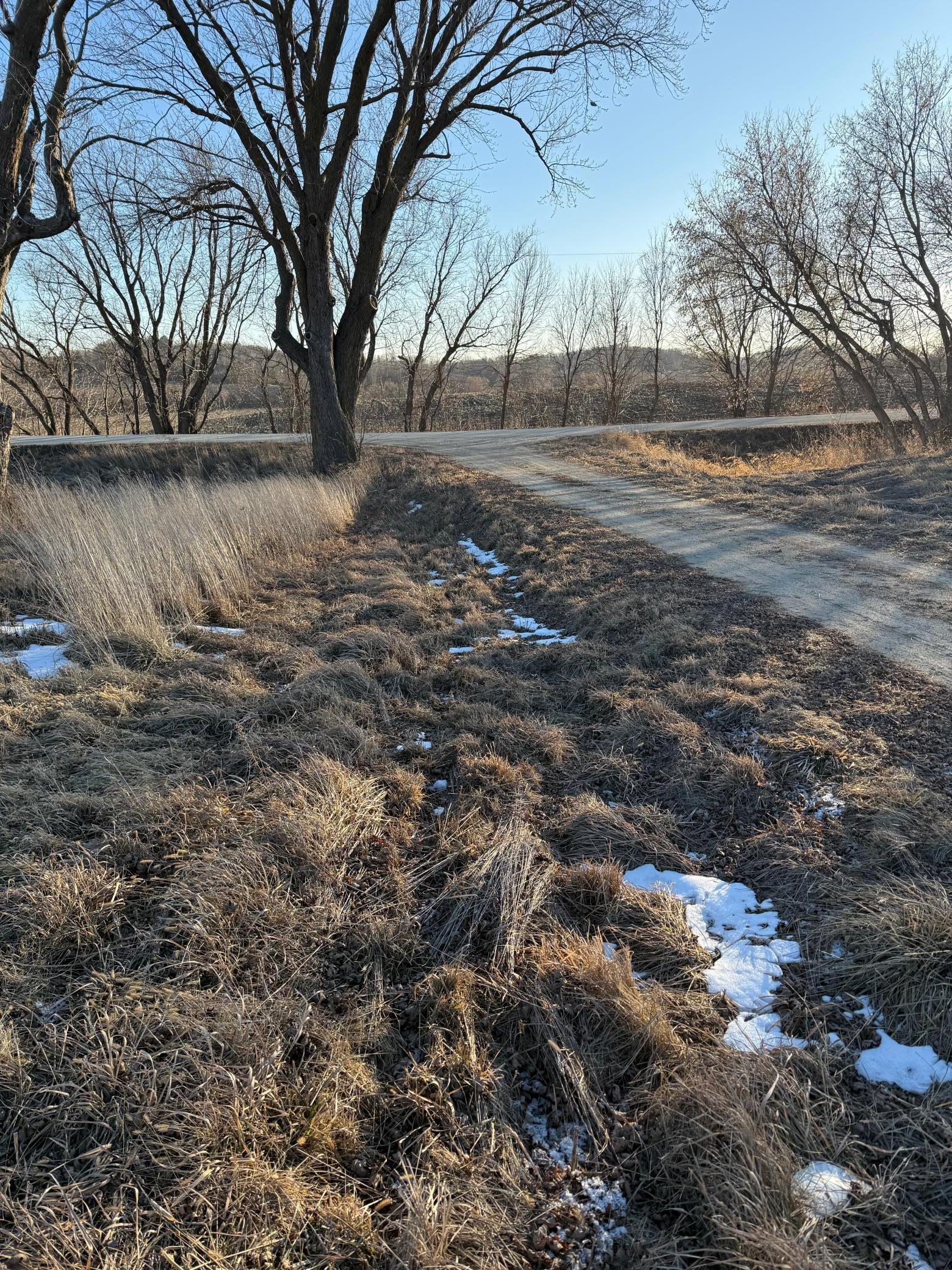 Lot 1 Block 1 460th Street, Zumbrota, Minnesota image 10