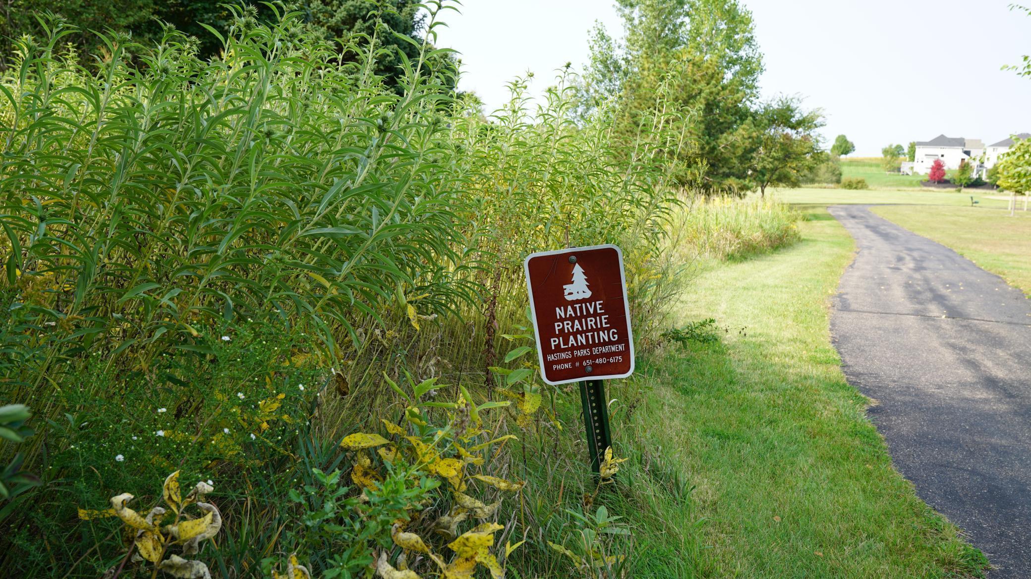 2725 General Sieben Drive, Hastings, Minnesota image 11